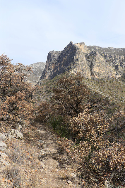 McKittrick Canyon McKittrick Canyon