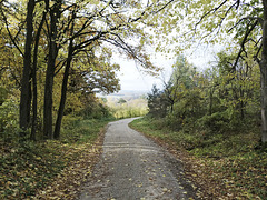 Fränkischer Jakobsweg: Gräfenberg - Kalchreuth