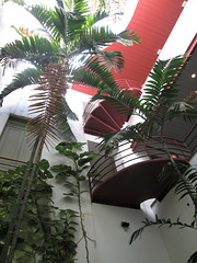 Inner yard with glass roof.