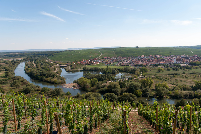 Vogelsburg