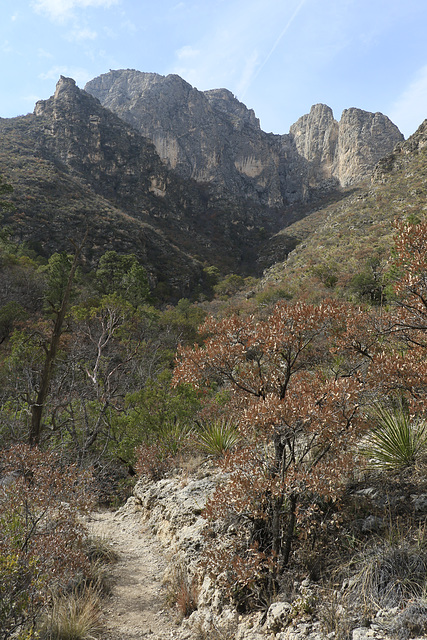 Guadalupe Mountains