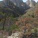 Guadalupe Mountains