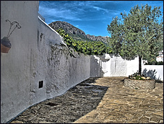 Casares