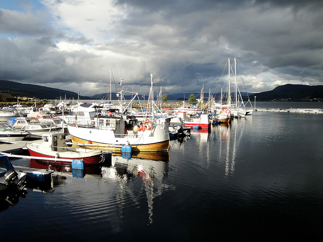 after-work hours in Kyrksæterøra