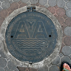 A y A