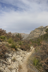 McKittrick Canyon