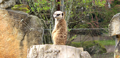 2023-05-07 34 Ea Zoo