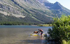 Glacier NP Swiftcurrent Lake dog (#0292)