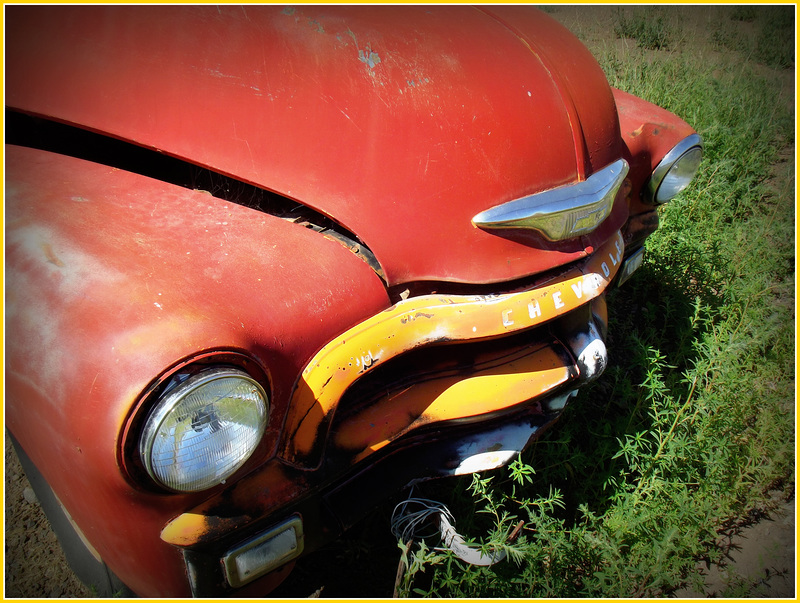 1954 Chevy 3600 truck