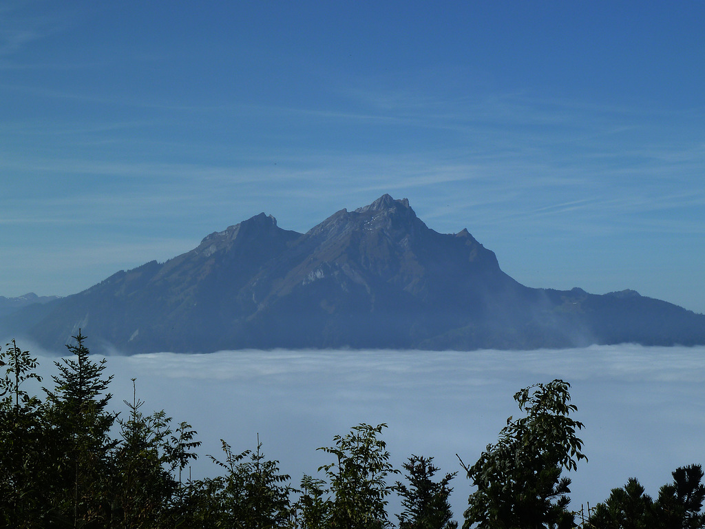 Das Neblemeer gesehen vom Bürgenstock zum Säntis