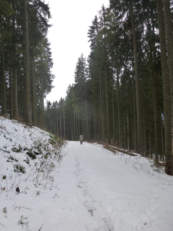 20150101 -03 Raquettes Vercors (122) al