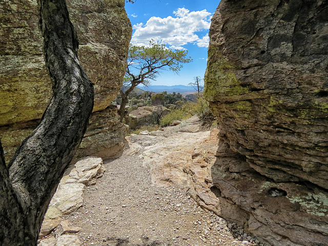 Massai Point