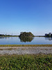 walthamstowe wetlands