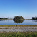 walthamstowe wetlands