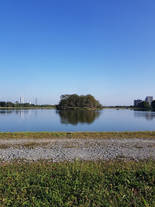 walthamstowe wetlands