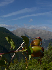 20220828 -11 Ubaye (Alpes de Haute Provence) (795)