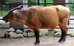 2023-05-07 36 Ea Zoo