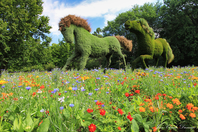 Mosaicultures Chevaux