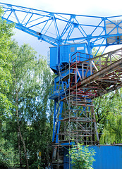 Blue Crane Blue Crane