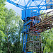 Blue Crane