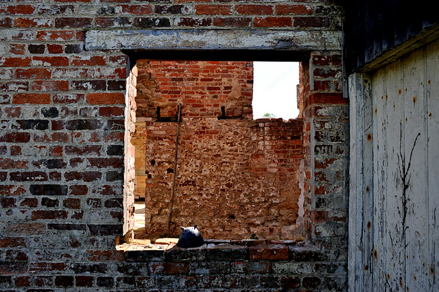 Barn Farm Ruin