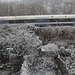 Snow bromley EF7A1125