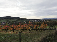 Fränkischer Jakobsweg: Gräfenberg - Kalchreuth