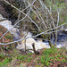 Looking over the cliffs to the Dorback Falls