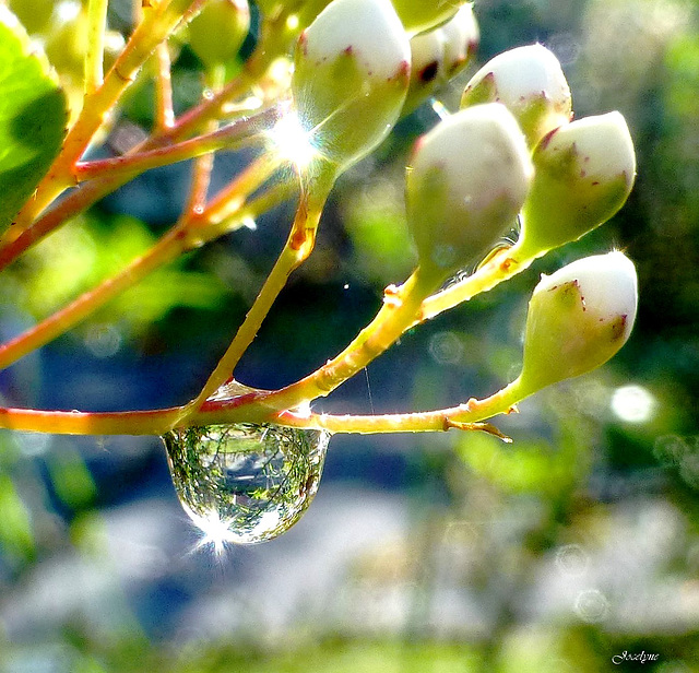 du soleil pour tous...