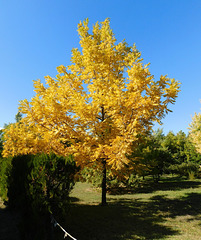 Couleur d'automne