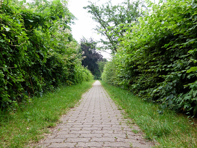 Wanderweg zur Bunthäuser Spitze