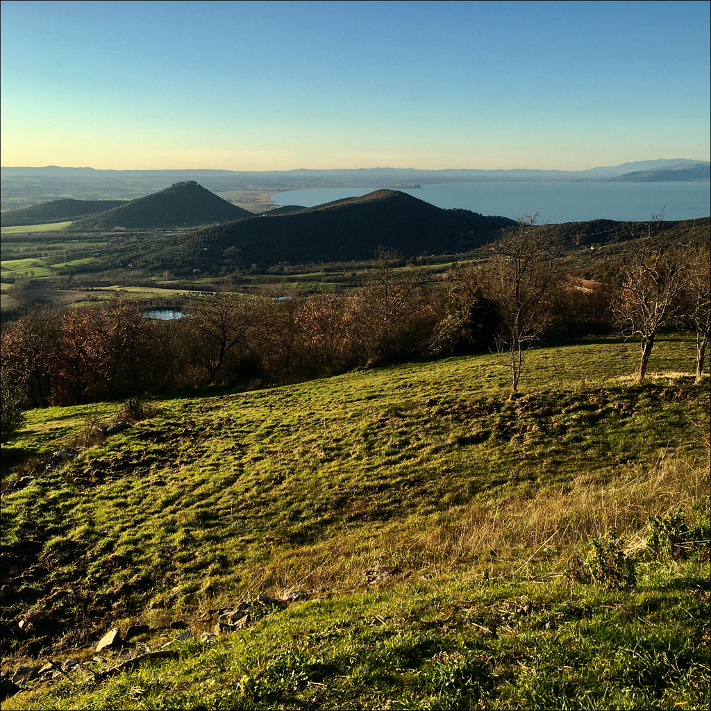 Terre del Perugino.