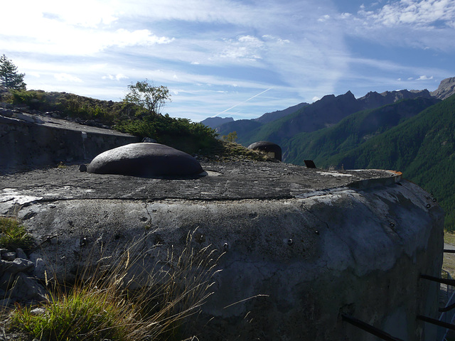 20220828 -11 Ubaye (Alpes de Haute Provence) (806)