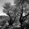 Out of Reach