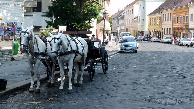 Ungarischer Fiaker