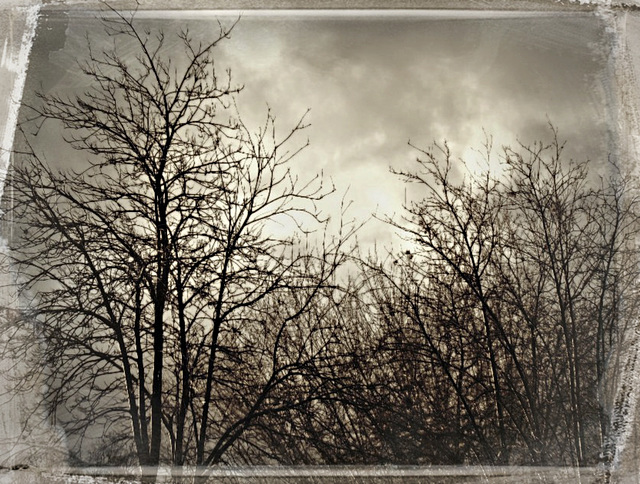 Tintype, or something