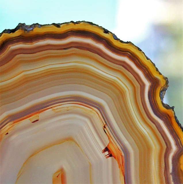 Agates  (6)