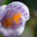 DSCF3742