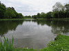 painshill park (63)