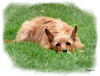 Et tu crois que je ne te vois pas ? ***  And you think that I don't see you ?