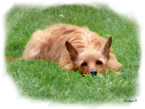 Et tu crois que je ne te vois pas ? ***  And you think that I don't see you ?