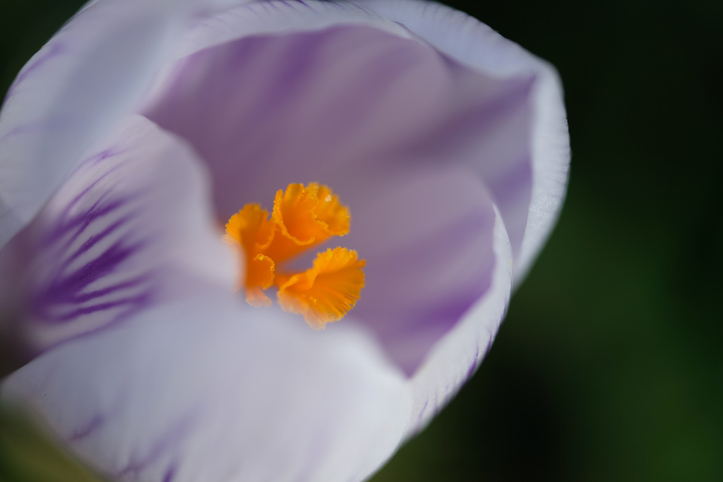 DSCF3745