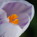 DSCF3745