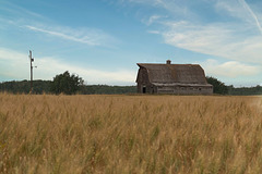 a barn in decline 3