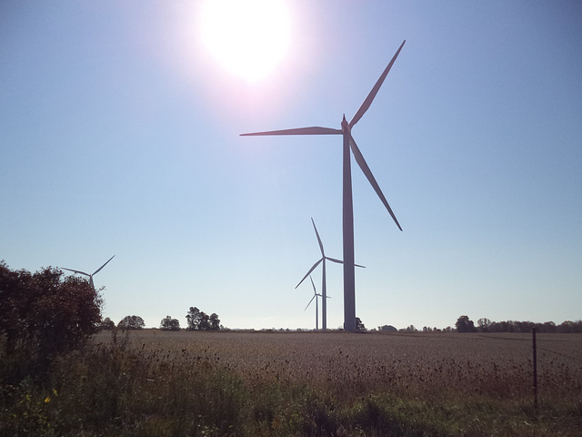 Insular wind turbines / Éoliennes insulaires