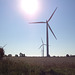 Insular wind turbines / Éoliennes insulaires