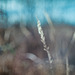 Liminal Fragments