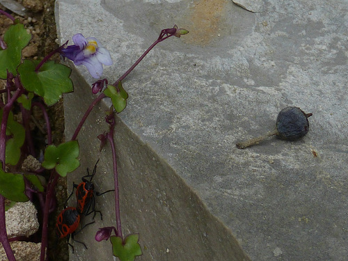 ab in dunkle Gemächer!