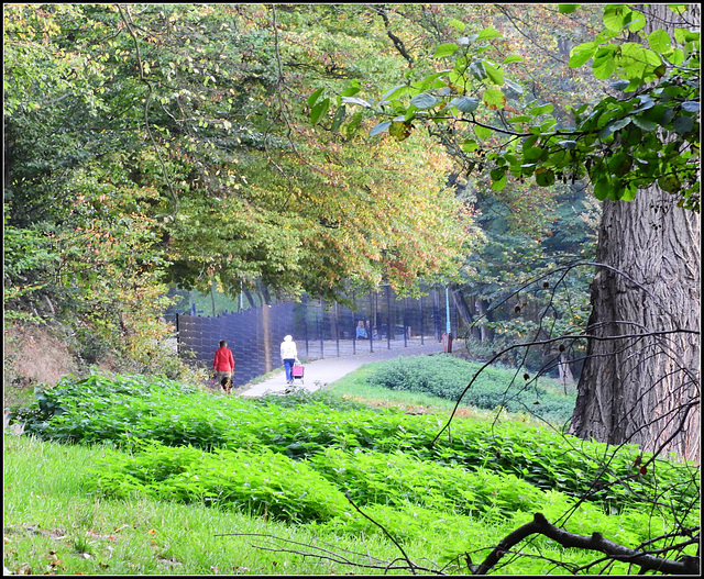 Nettles green