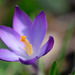 DSCF3746